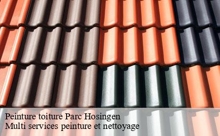 Peinture toiture  parc-hosingen- Multi services peinture et nettoyage 