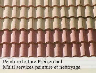 Peinture toiture preizerdaul- Multi services peinture et nettoyage