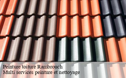 Peinture toiture rambrouch- Multi services peinture et nettoyage
