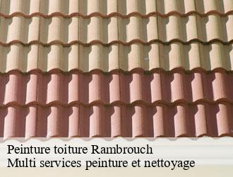 Peinture toiture rambrouch- Multi services peinture et nettoyage