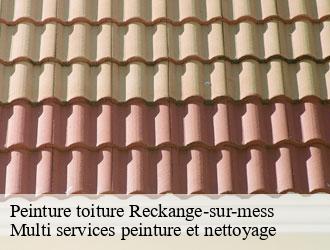 Peinture toiture reckange-sur-mess- Multi services peinture et nettoyage