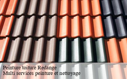 Peinture toiture redange- Multi services peinture et nettoyage