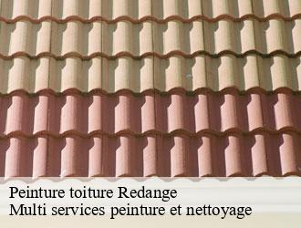 Peinture toiture redange- Multi services peinture et nettoyage