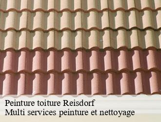 Peinture toiture reisdorf- Multi services peinture et nettoyage