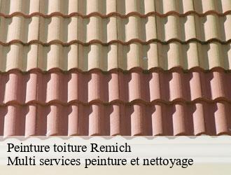 Peinture toiture remich- Multi services peinture et nettoyage