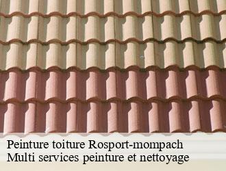 Peinture toiture rosport-mompach- Multi services peinture et nettoyage