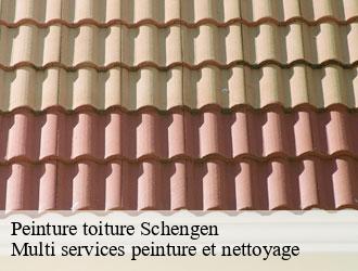 Peinture toiture schengen- Multi services peinture et nettoyage