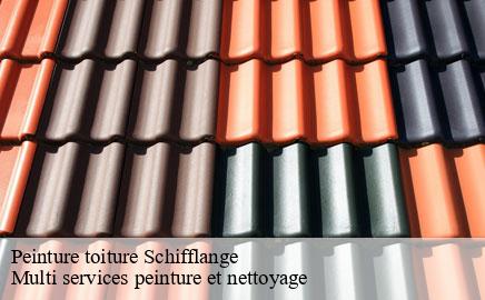 Peinture toiture schifflange- Multi services peinture et nettoyage
