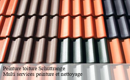 Peinture toiture schuttrange- Multi services peinture et nettoyage