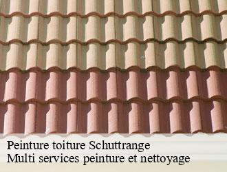 Peinture toiture schuttrange- Multi services peinture et nettoyage