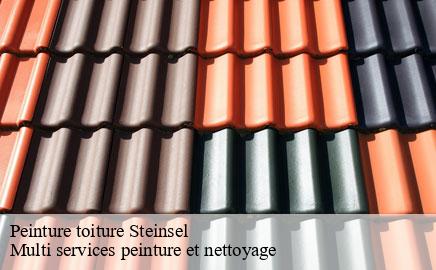 Peinture toiture steinsel- Multi services peinture et nettoyage