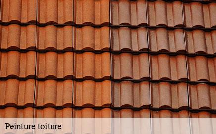 Peinture toiture steinsel- Multi services peinture et nettoyage