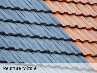 Peinture toiture steinsel- Multi services peinture et nettoyage