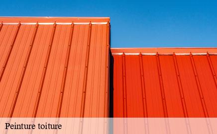 Peinture toiture steinsel- Multi services peinture et nettoyage