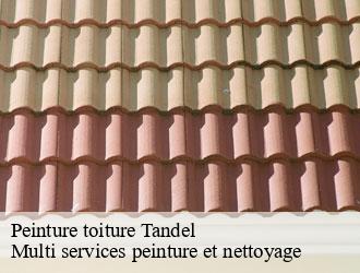 Peinture toiture  tandel- Multi services peinture et nettoyage 