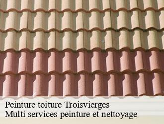 Peinture toiture troisvierges- Multi services peinture et nettoyage