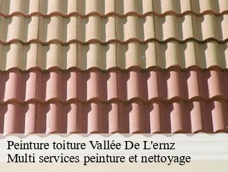 Peinture toiture vallee-de-l-ernz- Multi services peinture et nettoyage