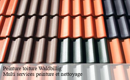 Peinture toiture  waldbillig- Multi services peinture et nettoyage 