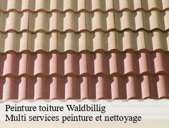 Peinture toiture  waldbillig- Multi services peinture et nettoyage 