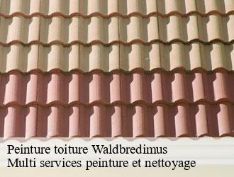 Peinture toiture waldbredimus- Multi services peinture et nettoyage