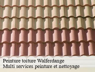 Peinture toiture walferdange- Multi services peinture et nettoyage