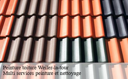Peinture toiture weiler-la-tour- Multi services peinture et nettoyage