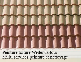 Peinture toiture weiler-la-tour- Multi services peinture et nettoyage