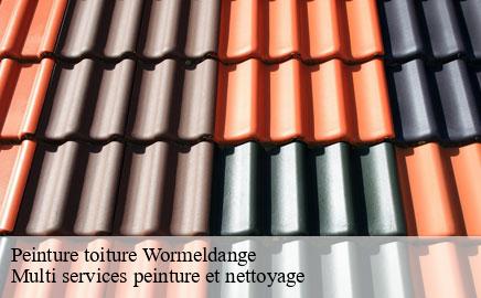 Peinture toiture wormeldange- Multi services peinture et nettoyage