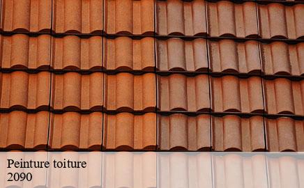 Peinture toiture  luxembourg-2090 Multi services peinture et nettoyage 