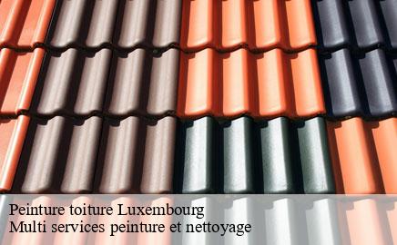 Peinture toiture luxembourg-1931 Multi services peinture et nettoyage