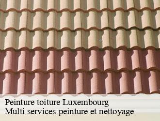 Peinture toiture luxembourg-1931 Multi services peinture et nettoyage