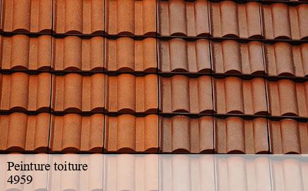 Peinture toiture bascharage-4959 Multi services peinture et nettoyage